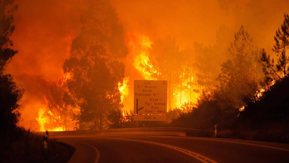Las llamas en Portugal han alcanzado una gran altura (Paulo Cunha - Paulo Cunha / EFE)