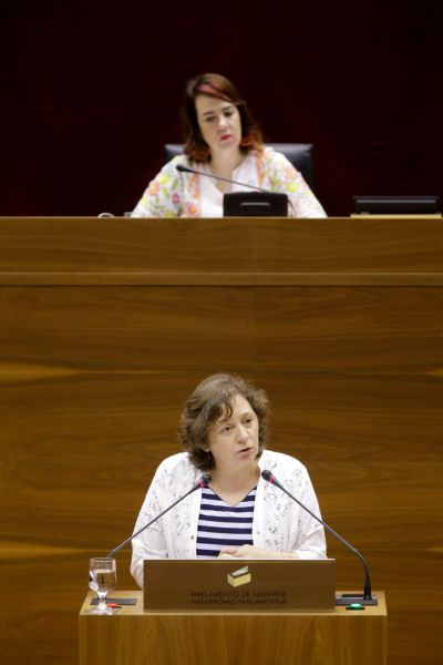 El Gobierno aboga por una transición hacia una “economía baja en emisiones”