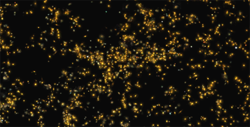 Astrónomos indios descubren un supercúmulo de galaxias gigante