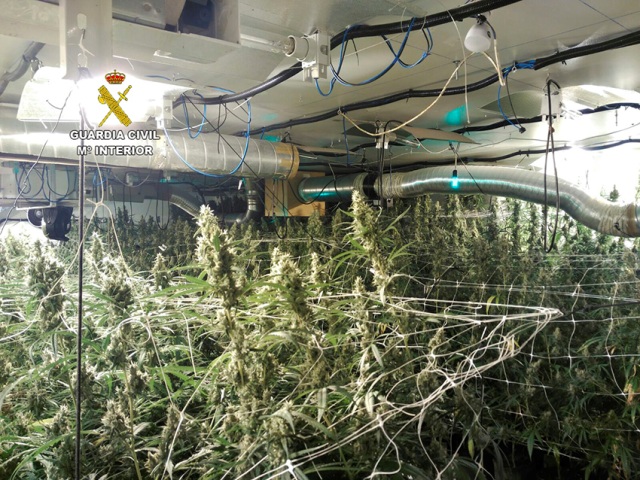 La Guardia Civil desmantela un laboratorio de drogas que contaba con hilo musical para favorecer el crecimiento de las plantas