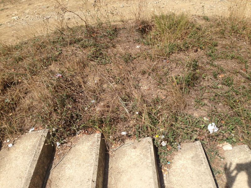 UPN pide al Ayuntamiento de Pamplona acabar con la suciedad en el entorno del río Arga