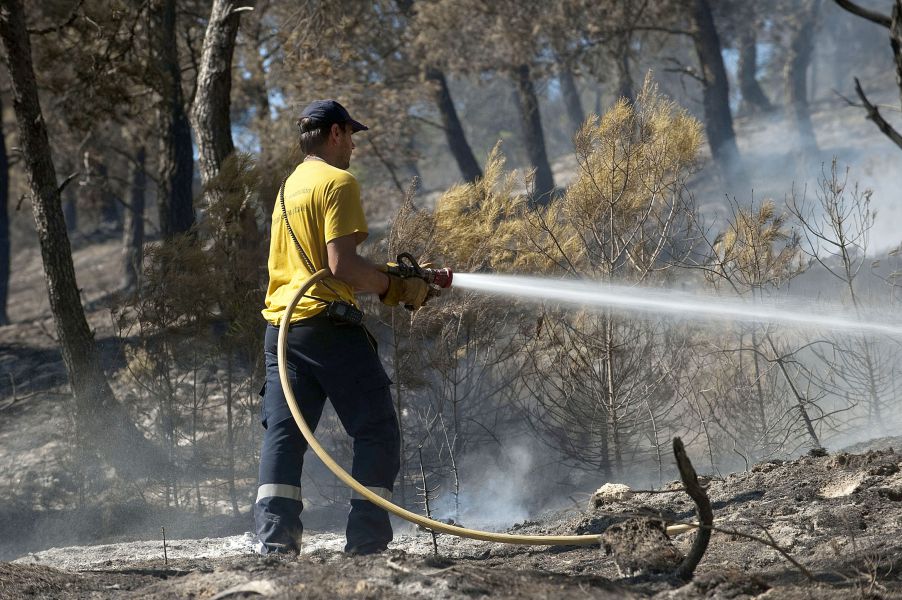 El incendio de Falces ha afectado a cerca de cinco hectáreas de pino carrasco