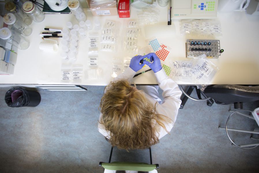 La UPNA obtiene el sello “HR Excellence in Research” en recursos humanos