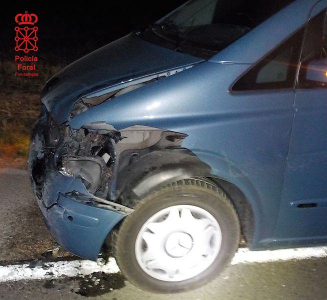 Cinco atropellos a jabalíes en la noche de ayer sábado en Navarra
