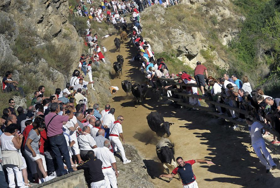 Dos heridos leves en el segundo encierro de El Pilón de Falces