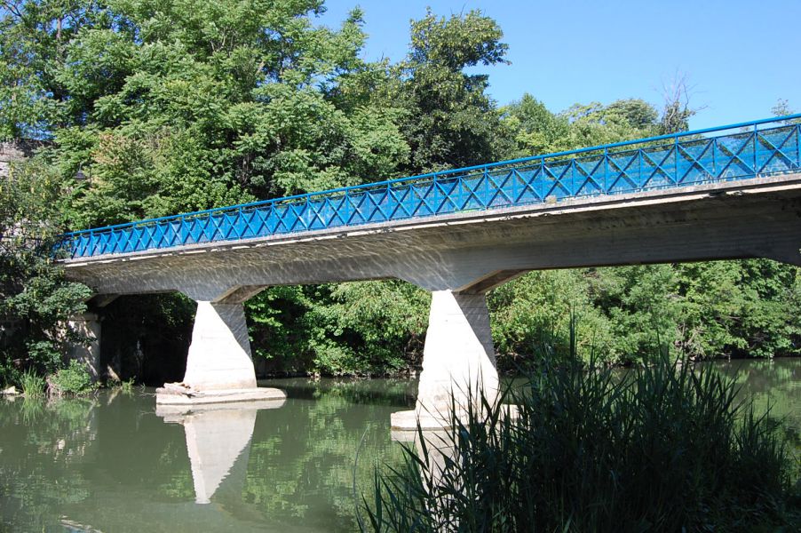 AGENDA: 26 de agosto, en el puente del Plazaola, XXI Concurso de pesca de la red civivox