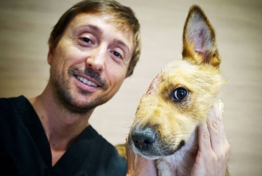 El caso de Sky, el perro maltratado, referente en cirugía veterinaria europea
