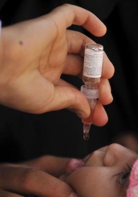 Emplean plantas para producir una nueva vacuna contra el virus de la polio
