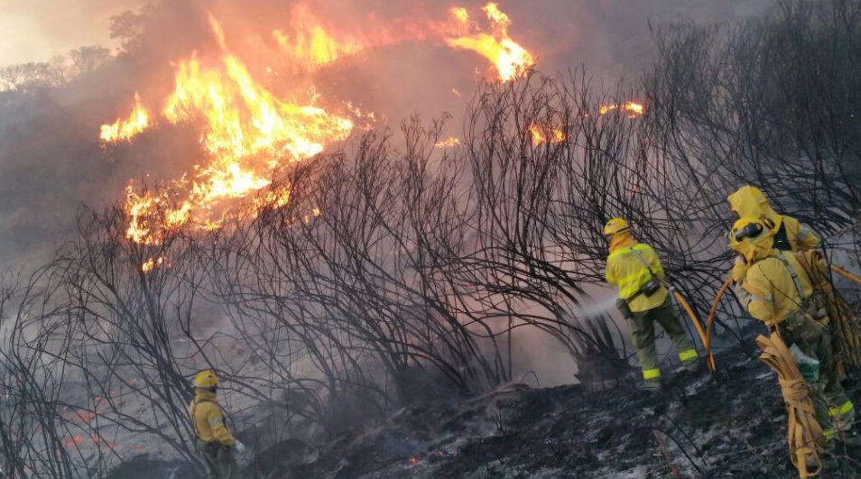 El incendio de La Granada (Huelva) supera el medio millar de desalojados