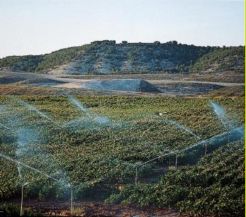 El Ministerio reconoce la gravedad de la situación de los regadíos navarros de la Cuenca del Ebro