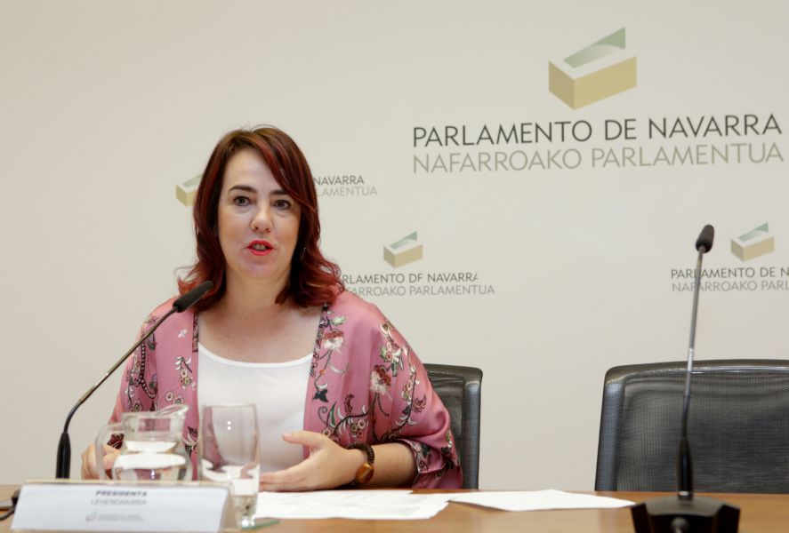 El Parlamento de Navarra ha aprobado 30 Leyes, 107 resoluciones y 138 declaraciones institucionales