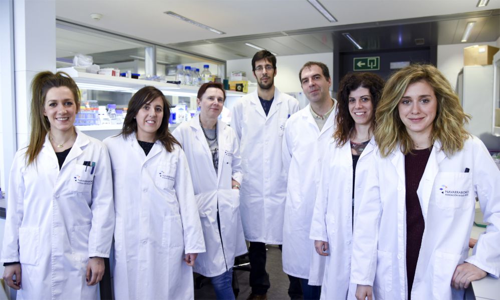 Navarrabiomed descubren el funcionamiento de una proteína clave para los tratamientos oncológicos con inmunoterapia