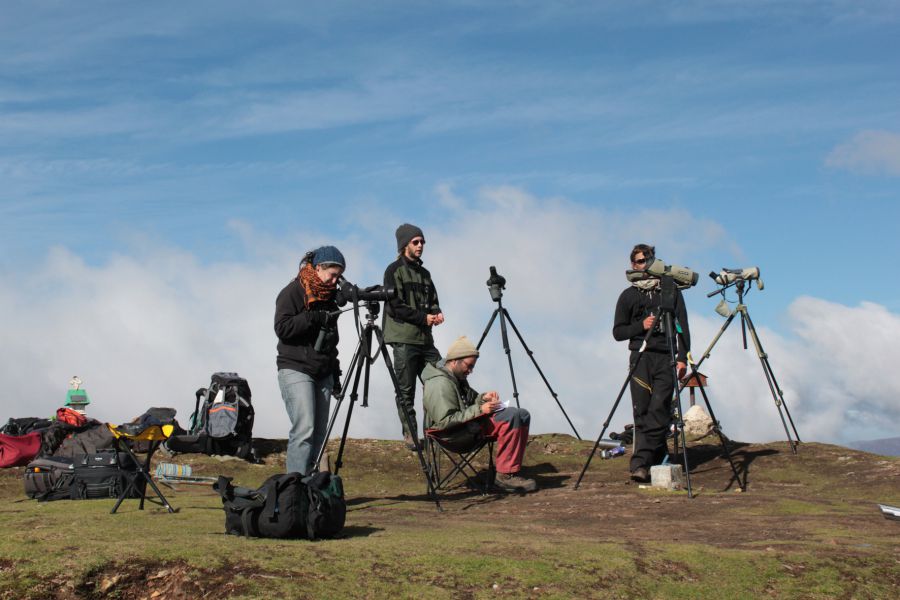Lindus 2: Jornada de ornitológica y ecoturismo en Burguete (Navarra)