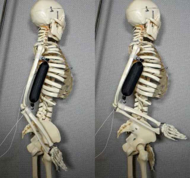 Desarrollan un material equivalente al músculo humano para robots