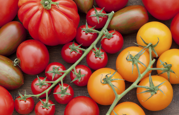 El tomate, protagonista este fin de semana en Pamplona