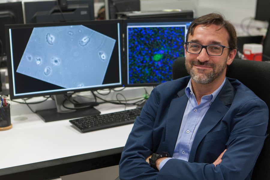 CIMA coordina una competición internacional que analiza 52 vídeos de microscopía