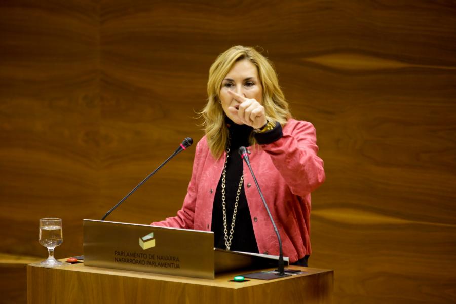Ana Beltrán es expulsada del Pleno del Parlamento