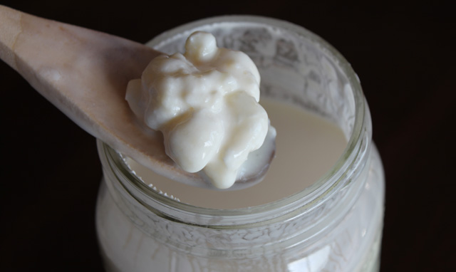 Kéfir, un producto desconocido con propiedades probióticas y digestivas
