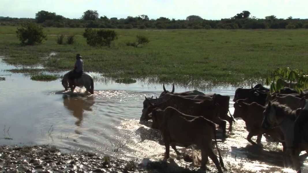 Los cantos de Los Llanos, reconocidos patrimonio inmaterial de la humanidad
