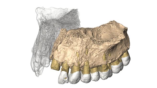 Encuentran el fósil de Homo sapiens más antiguo fuera de África