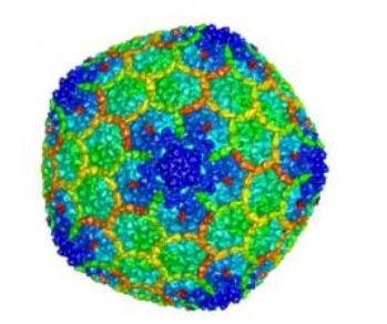 Descubren un de la memoria que actúa como virus
