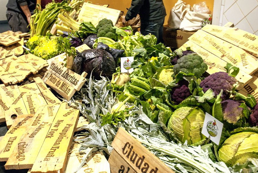 Navarra encabeza producción de verdura congelada en España