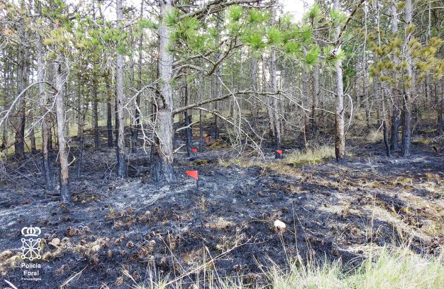 Denunciado el autor del incendio de Puente la Reina
