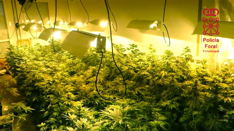 Policía Foral detiene a dos personas por tráfico de drogas en Murchante