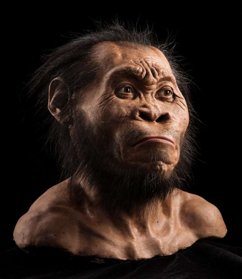 El Homo naledi, el misterioso eslabón de la evolución humana