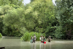 AGENDA: 21 de abril, en el río Arga, 'Jornada de Pesca Eléctrica'