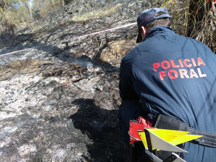 Identificado presunto autor de incendio que afectó cinco hectáreas en Falces