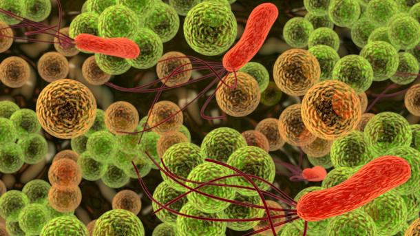 Un tratamiento elimina bacterias nocivas en objetos de acero inoxidable