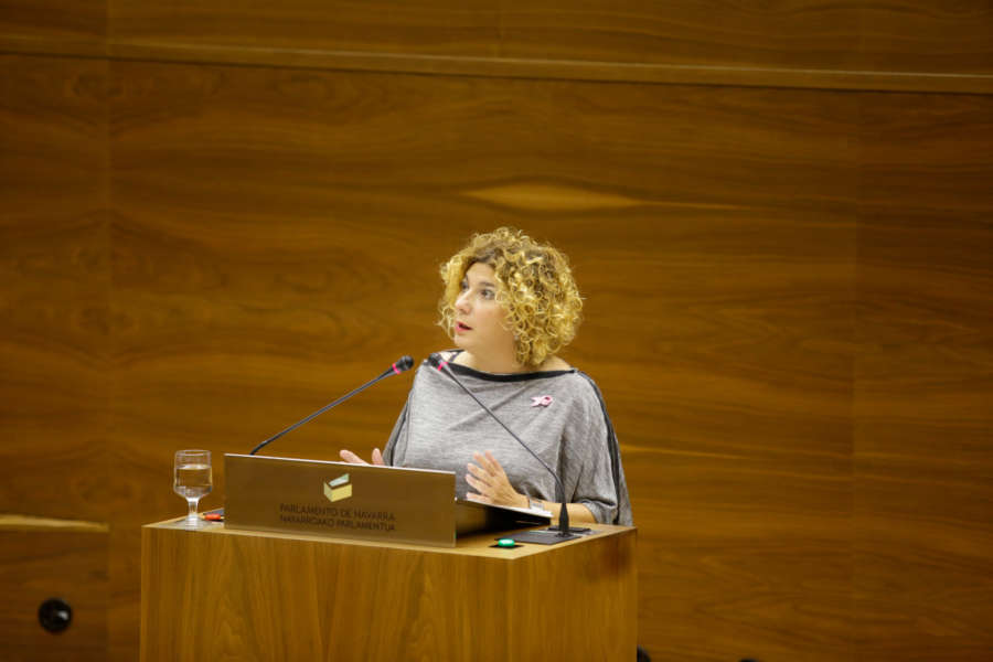 UPN: La ley del mapa local no va a resolver los problemas de los ciudadanos ni de los ayuntamientos