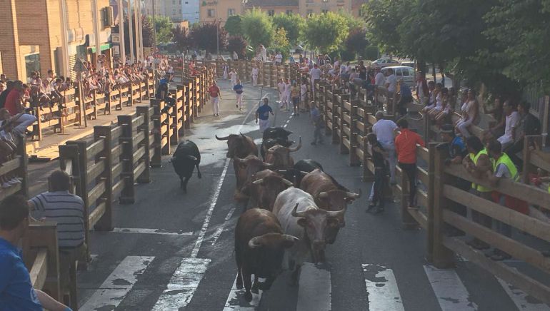Cuatro heridos leves en el primer encierro de las fiestas de Tudela
