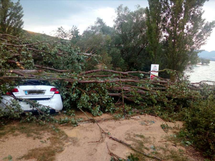 Un árbol cae sobre un coche tras una fuerte tormenta y mata a un perro