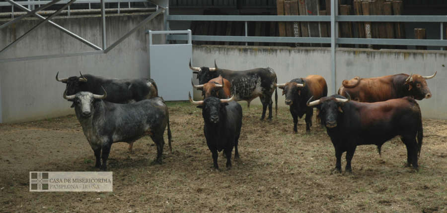 Toros de sombrero, Cebada en el 'Gas'