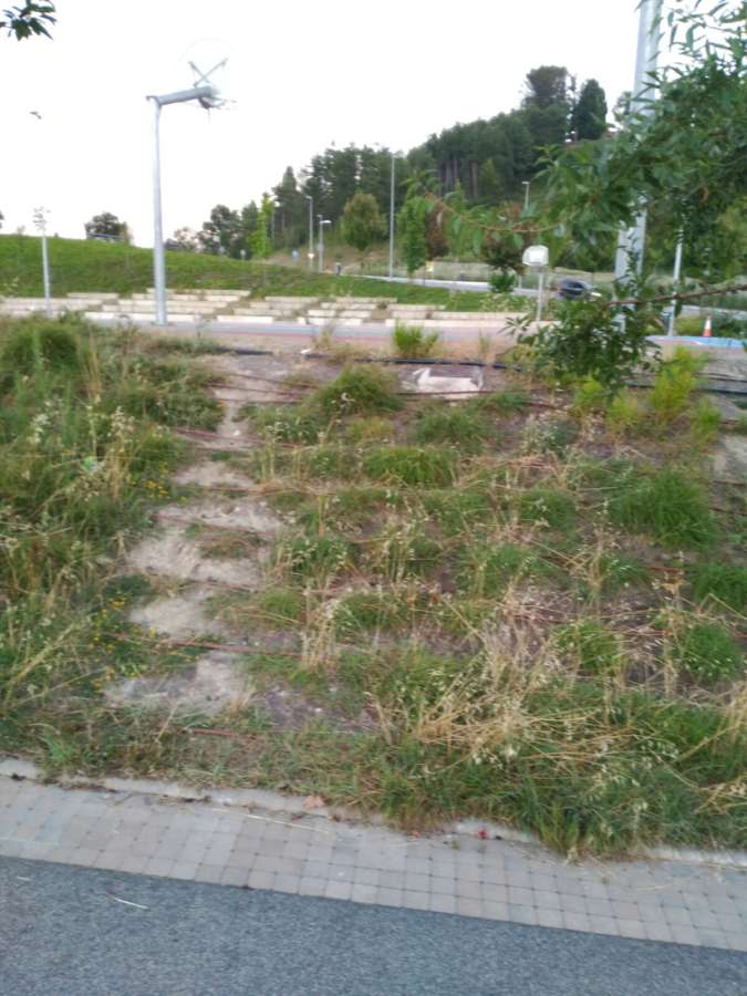 UPN denuncia el “lamentable mantenimiento de Lezkairu” y exige “medidas urgentes”
