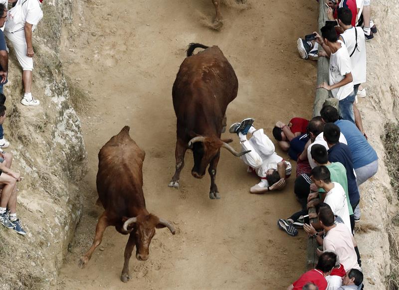 El primer encierro del Pilón de Falces deja un pequeño susto tras una caída