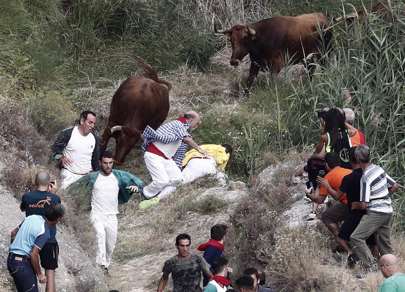 Sin heridos de importancia en el encierro del Pilón de Falces