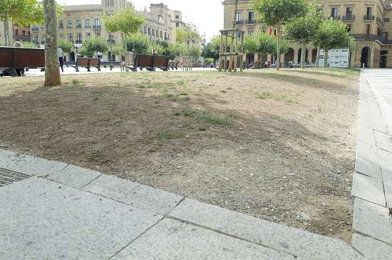 El PSN denuncia la decadencia de parques y jardines de Pamplona