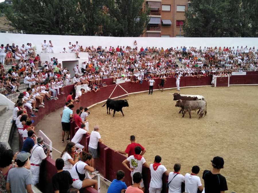 Casi 20 minutos de cuarto Encierro de las Fiestas de Estella con dos heridos en la Plaza