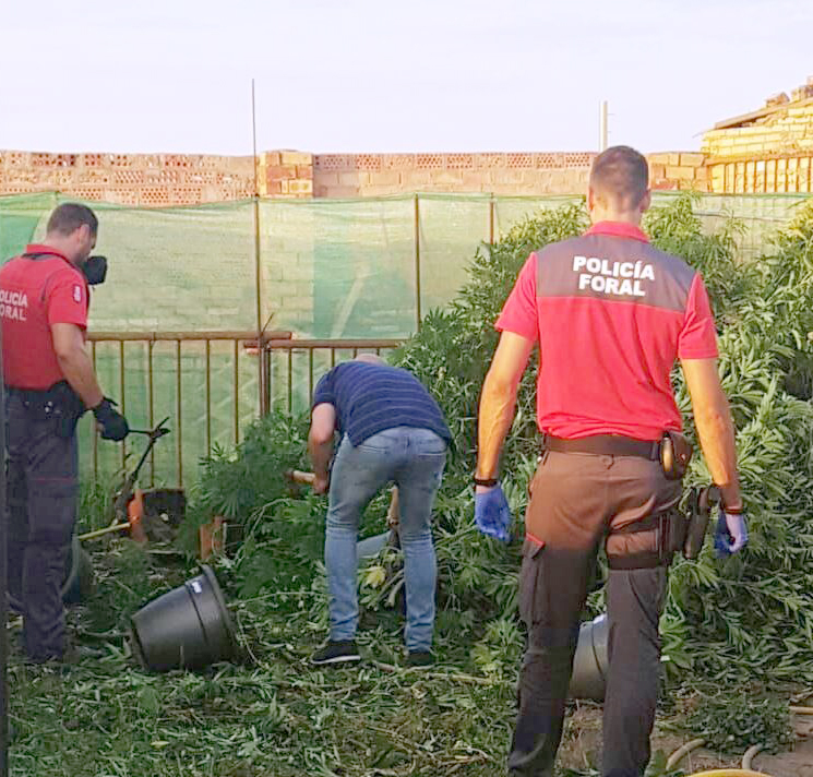 Tres detenidos por delitos de drogas en Tudela