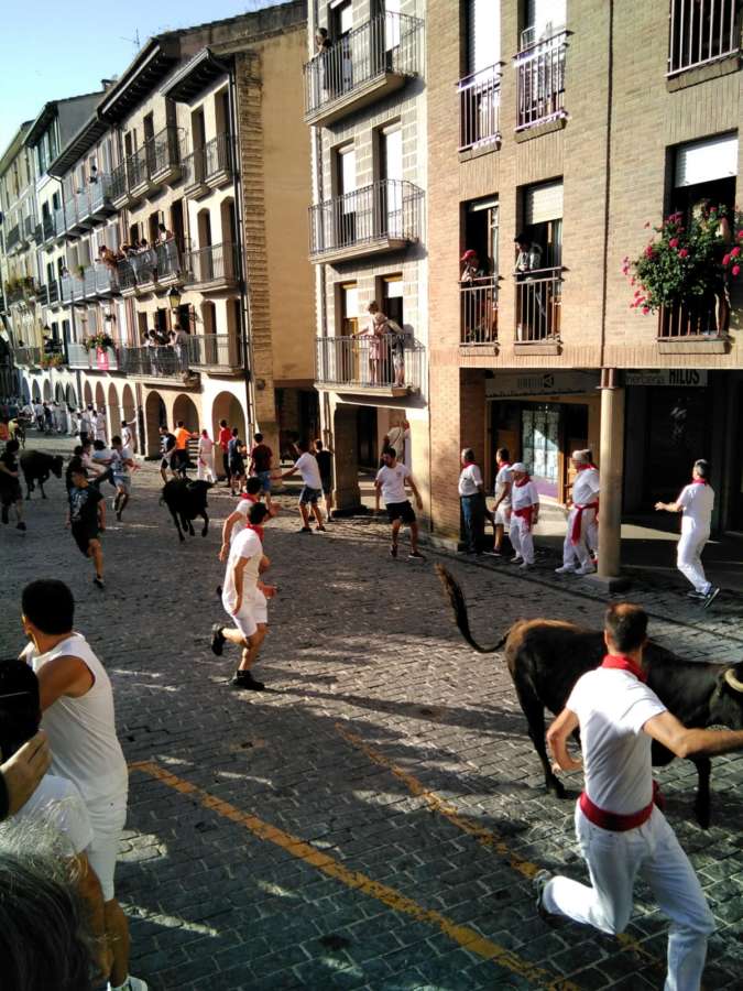 Rápido segundo encierro de las Fiestas de Estella con una irresponsable moza