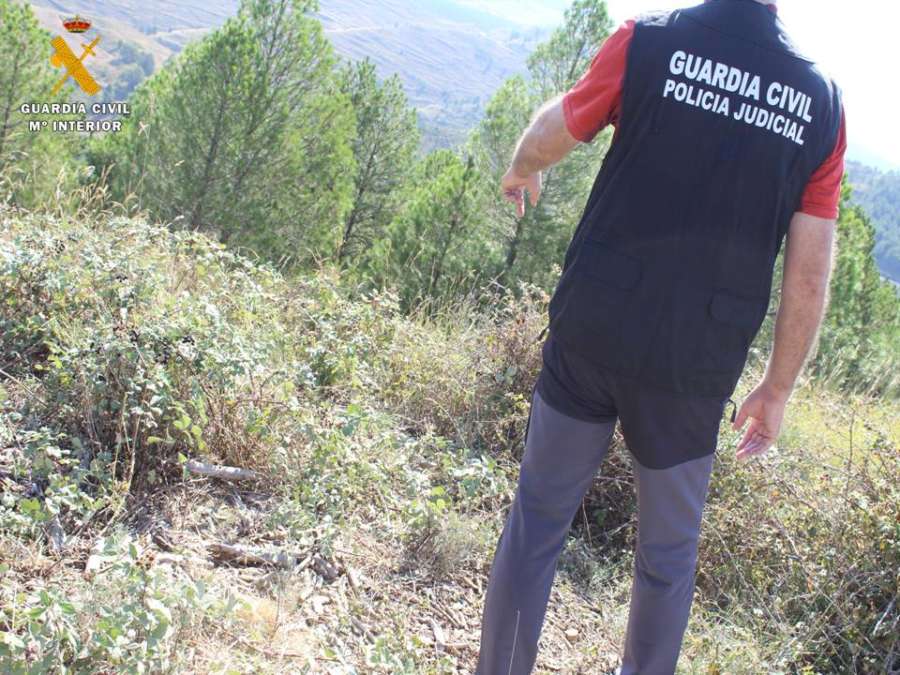 Detenida en Francia la presunta autora del homicidio de una mujer cuyo cuerpo fue encontrado en Sos del Rey Católico (Zaragoza)