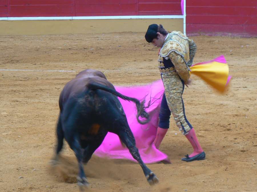 Entrega de Trofeos a los toreros más destacados en Cintruénigo, en el 50 Aniversario de la Plaza de Toros