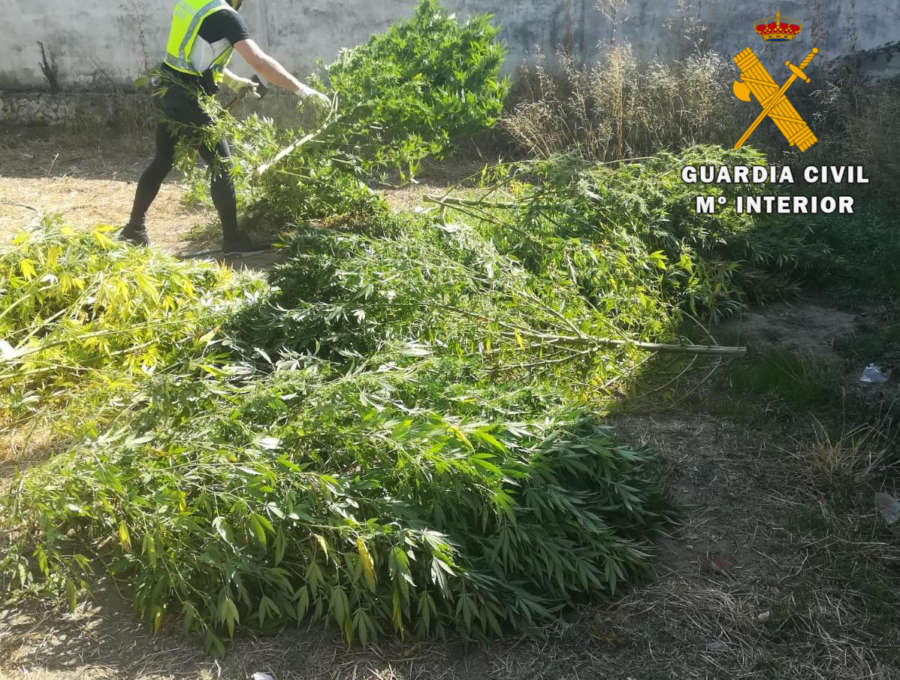 La Guardia Civil de Navarra incauta 13 kilos de marihuana por valor de 18.000 euros