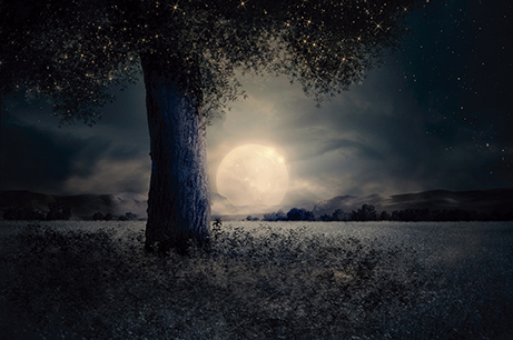 AGENDA: 12 de diciembre, en Museo Educación Ambiental, charla sobre la influencia de la luna en la agricultura