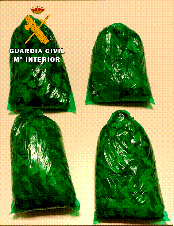 La Guardia Civil incauta 1500 gramos de hojas de coca en el Aeropuerto de Pamplona