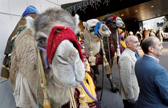 Unas 1.200 personas participarán en la Cabalgata de Reyes de Pamplona