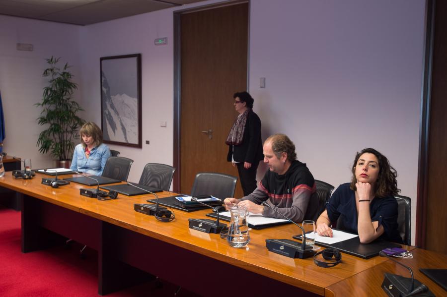La Comisión Especial emplaza a revisar el estatus legal del euskera